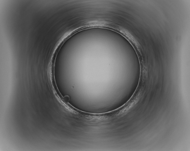 X0000116850941200912221116