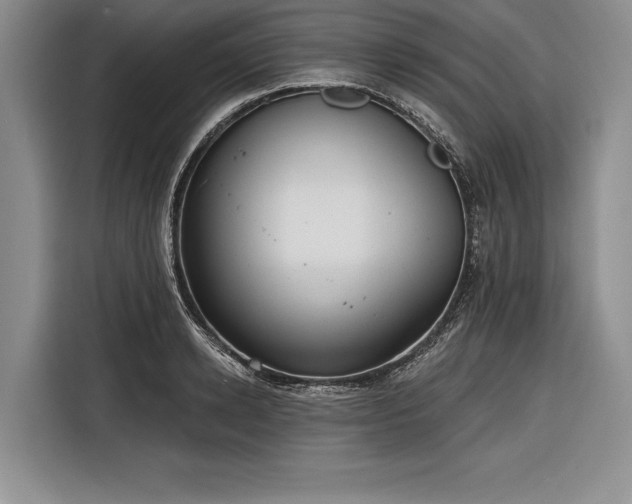 X0000116850942200912221116