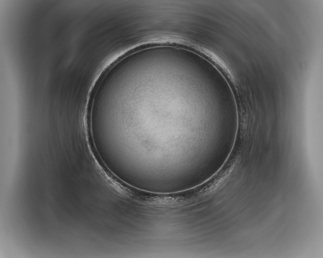 X0000116850943200912221116
