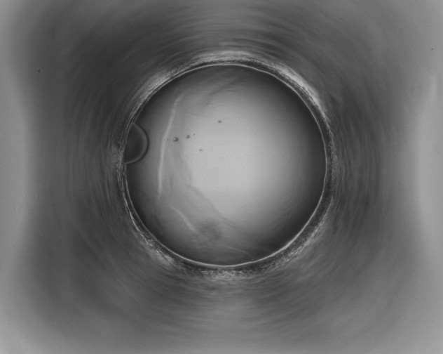 X0000116850945200912221116