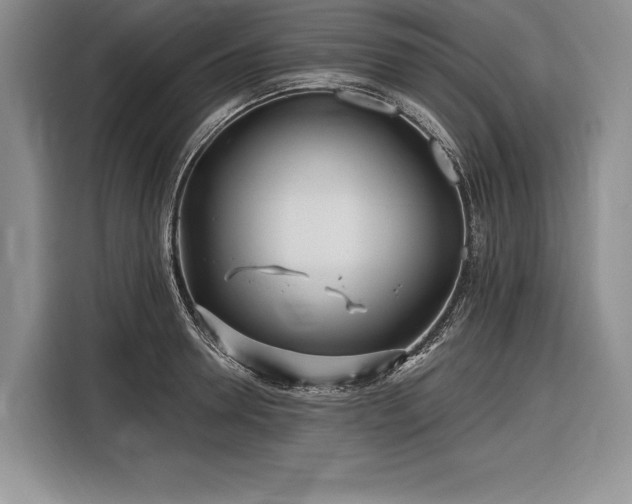 X0000116850946200912221116