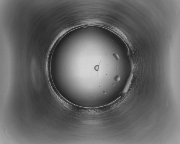 X0000116850947200912221116