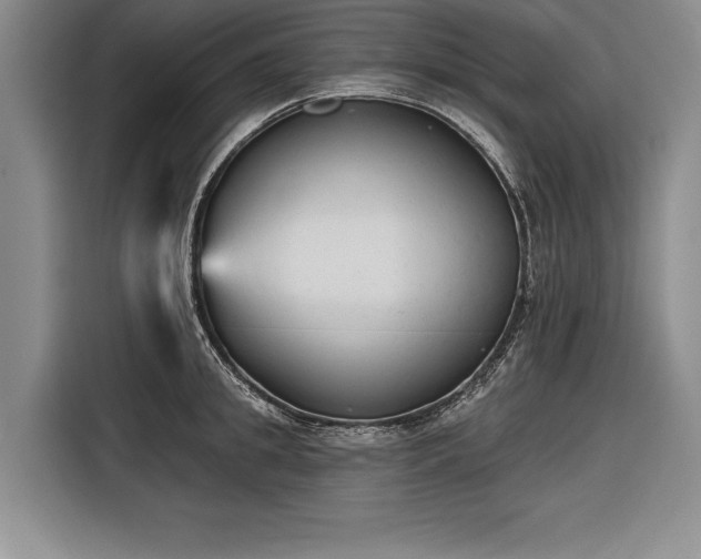 X0000116850949200912221116
