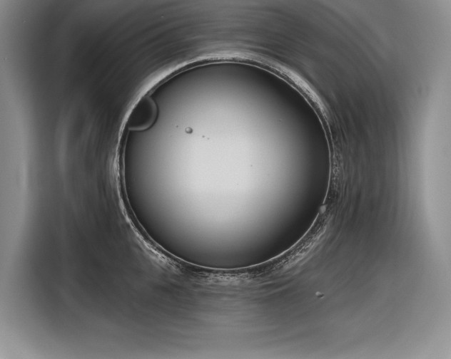 X0000116850951200912221116