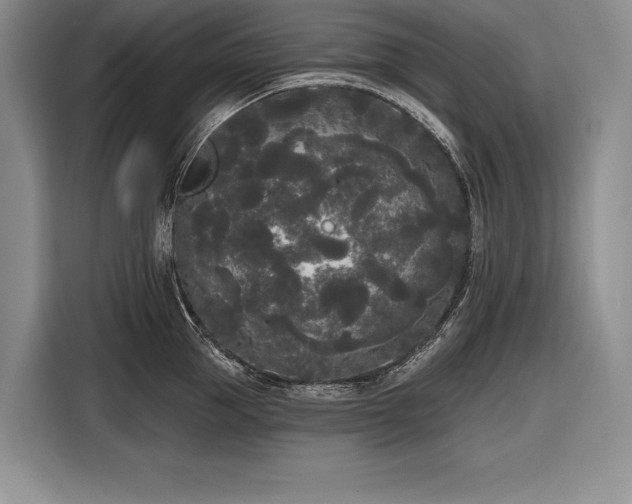 X0000116850953200912221116