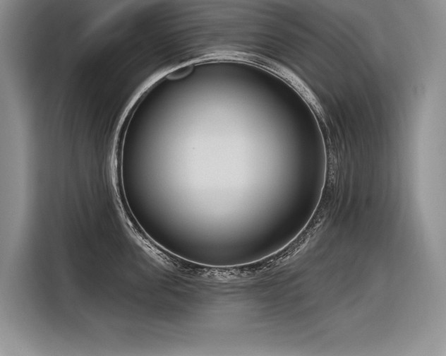 X0000116850955200912221116