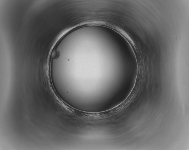 X0000116850959200912221116