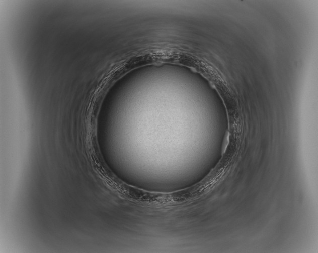 X0000116850961200912221115