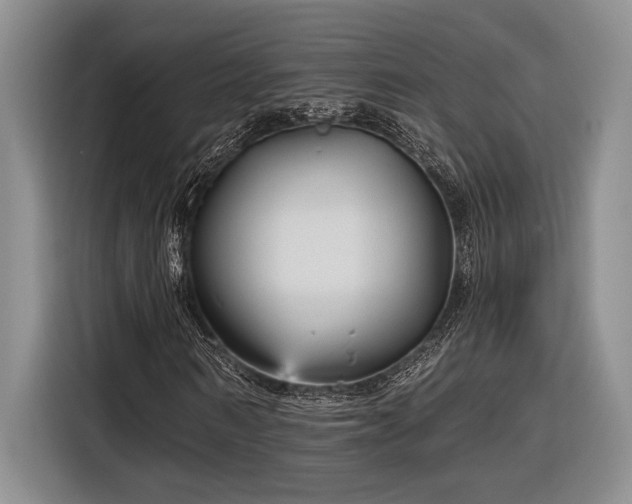 X0000116850962200912221115