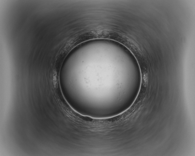 X0000116850963200912221115