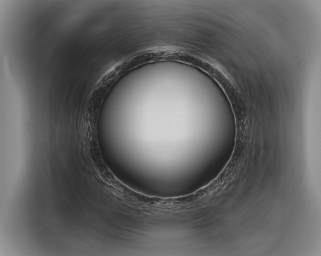 X0000116850967200912221115