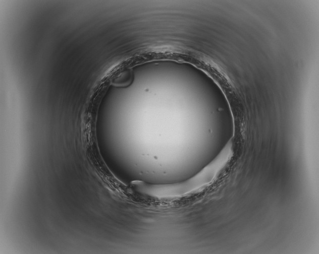 X0000116850968200912221115