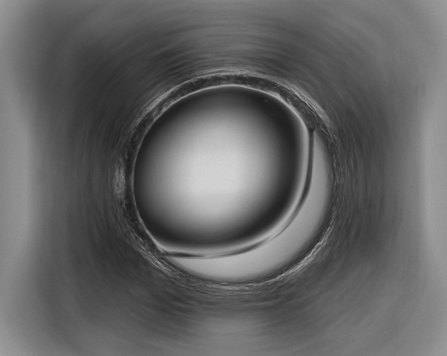 X0000116850969200912221115