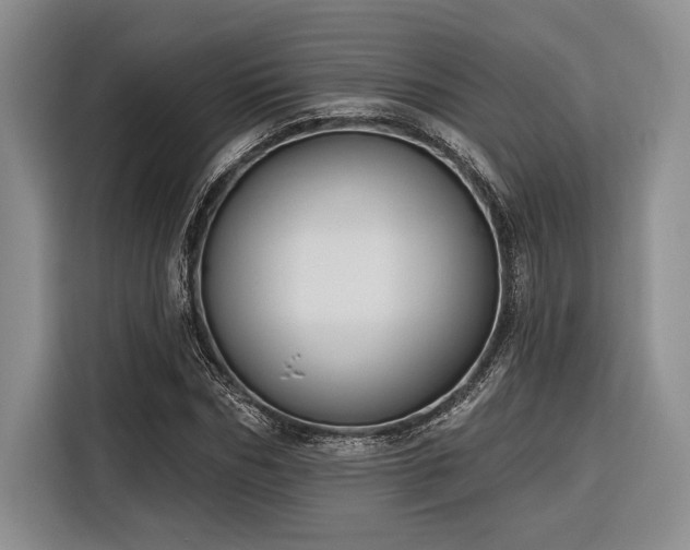X0000116850970200912221115