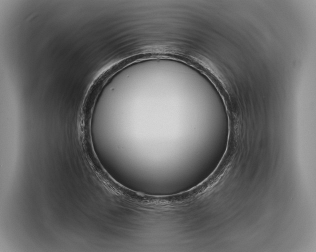 X0000116850971200912221115
