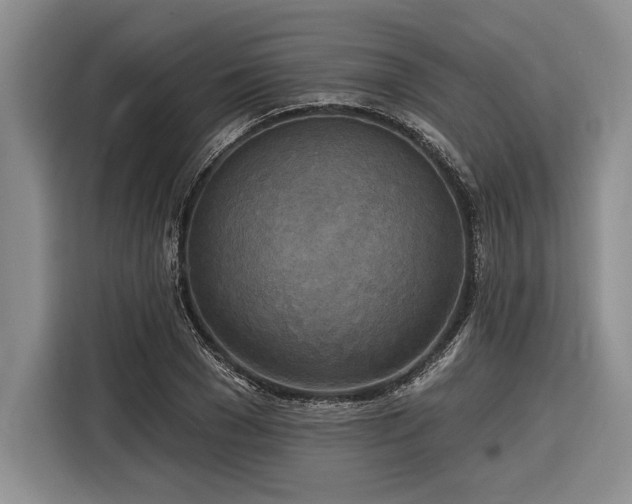 X0000116850977200912221115