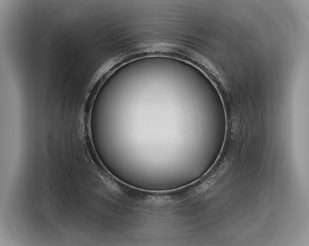 X0000116850978200912221115