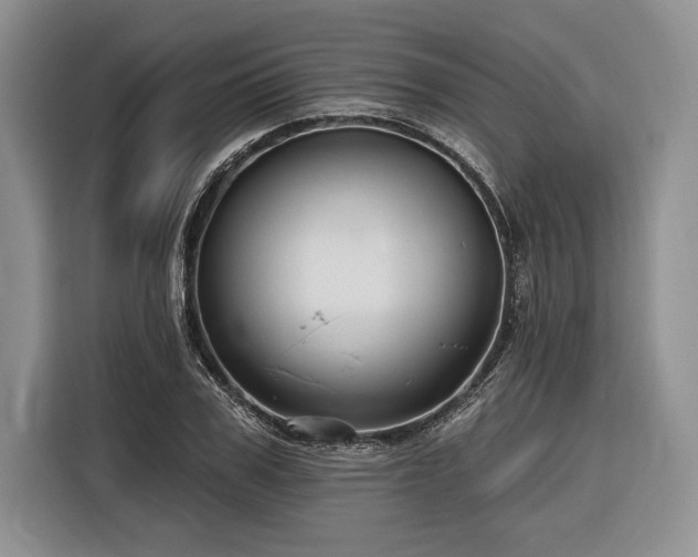 X0000116850979200912221115
