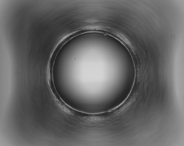 X0000116850984200912221115