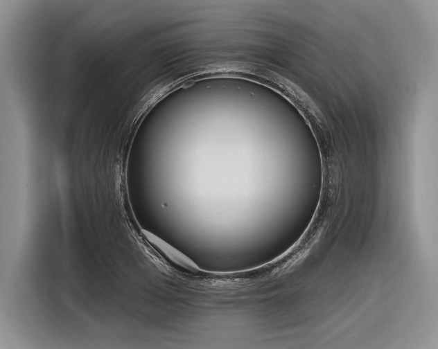 X0000116850985200912221115