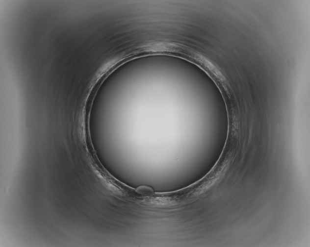 X0000116850986200912221115