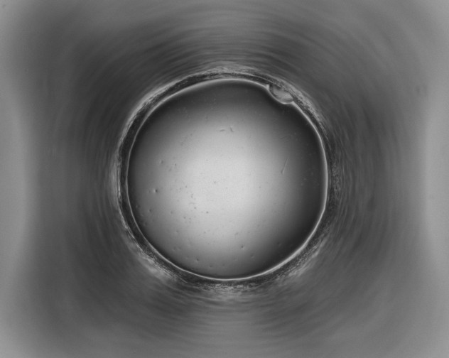 X0000116850987200912221115