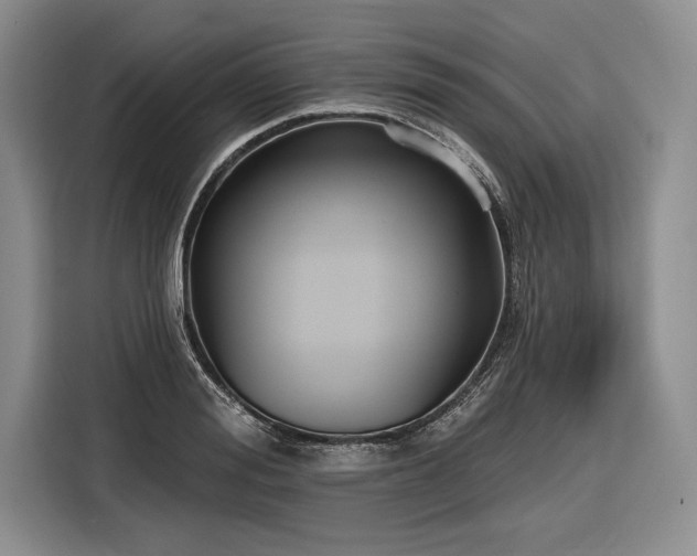 X0000116850988200912221115