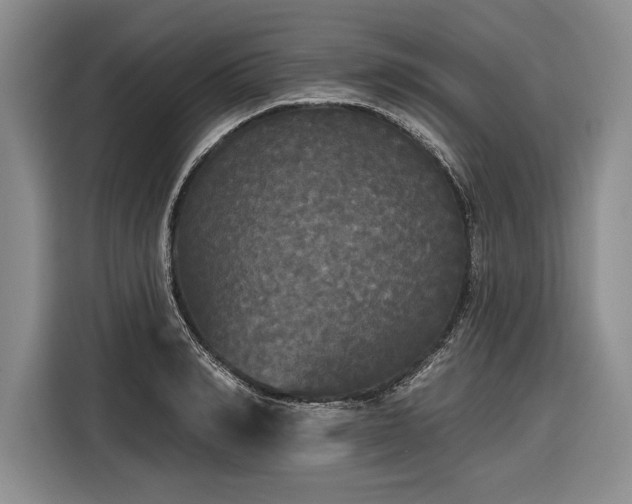 X0000116850990200912221115