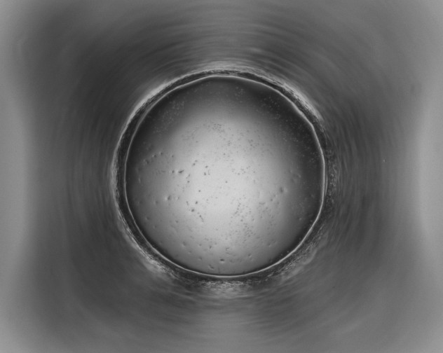 X0000116850991200912221115