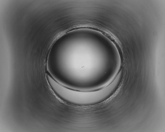 X0000116850993200912221115