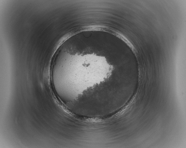 X0000116850994200912221115