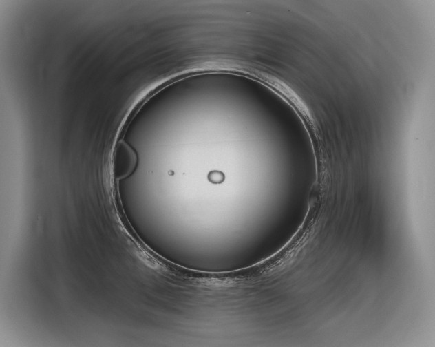 X0000116850996200912221115