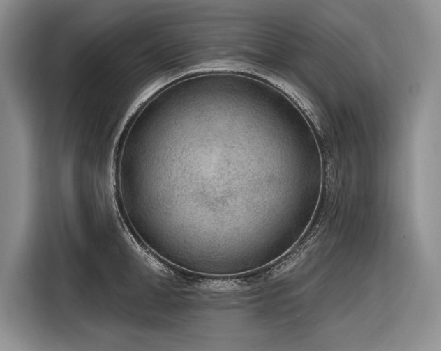 X0000116850998200912221115