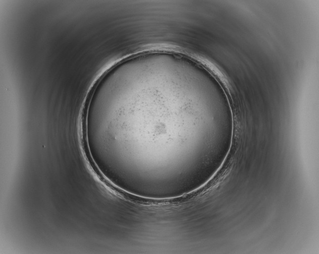 X0000116850999200912221115