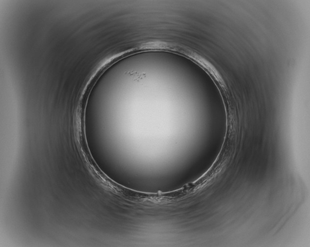 X0000116851000200912221115