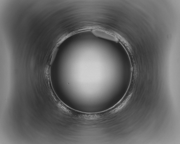 X0000116851001200912221115
