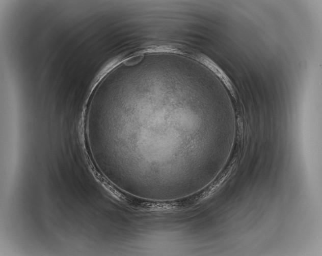 X0000116851002200912221115
