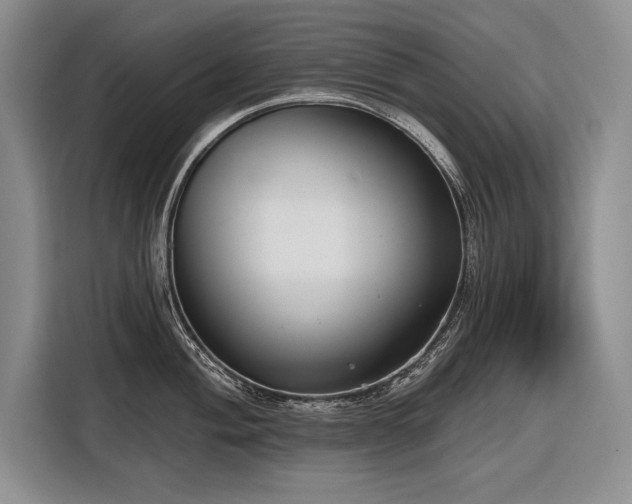 X0000116851004200912221115