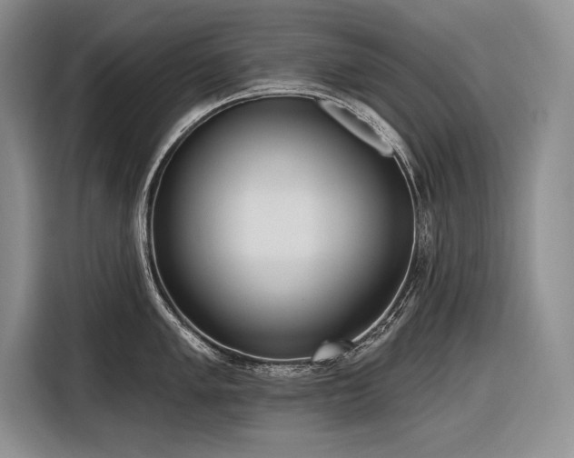 X0000116851005200912221115