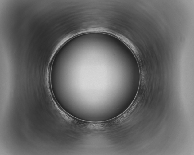 X0000116851006200912221115
