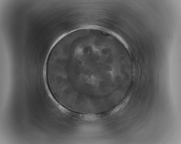 X0000116851007200912221115