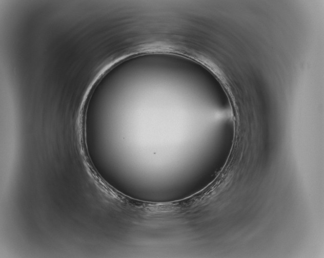 X0000116851008200912221115