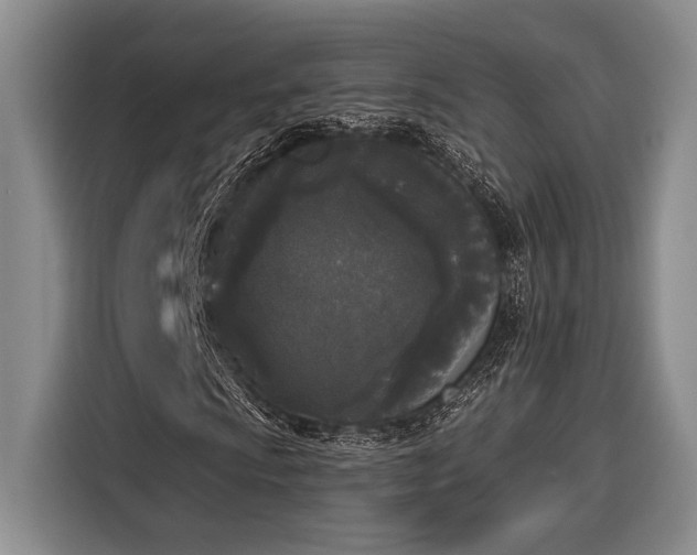 X0000116851009200912221114