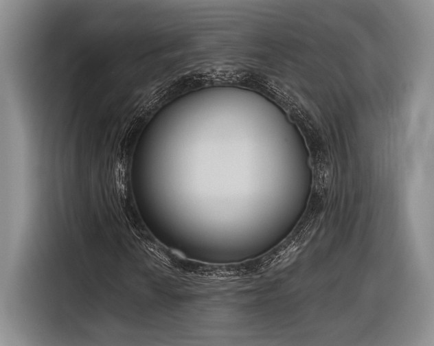 X0000116851010200912221114