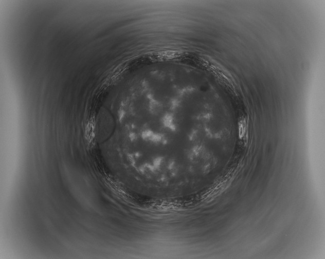 X0000116851011200912221114