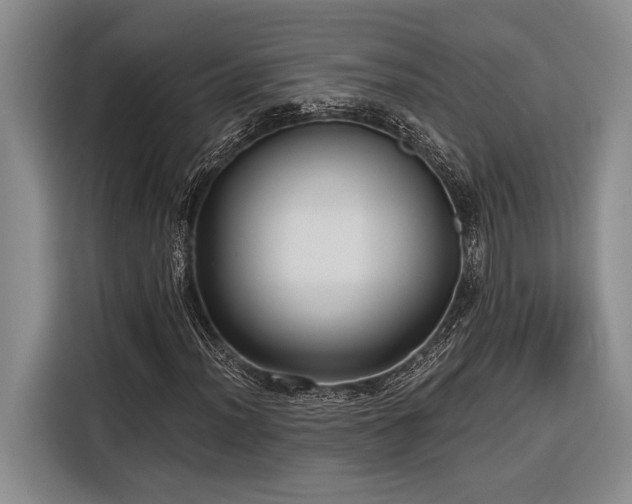 X0000116851012200912221114