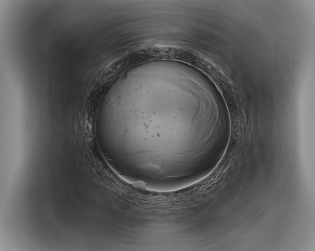 X0000116851013200912221114