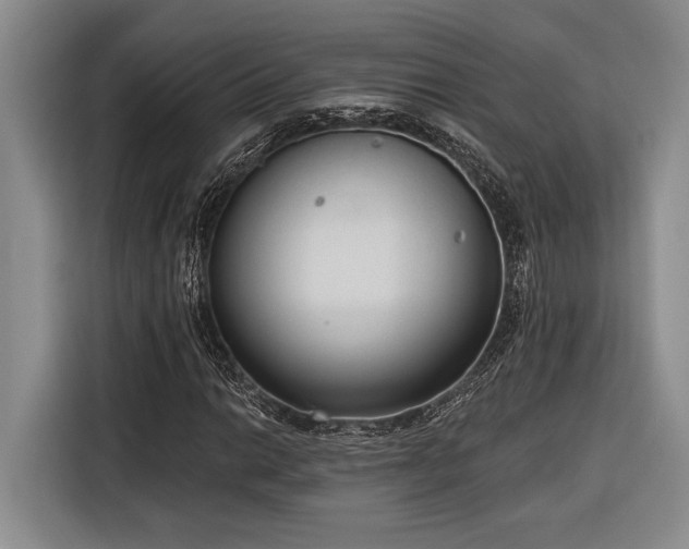 X0000116851014200912221114