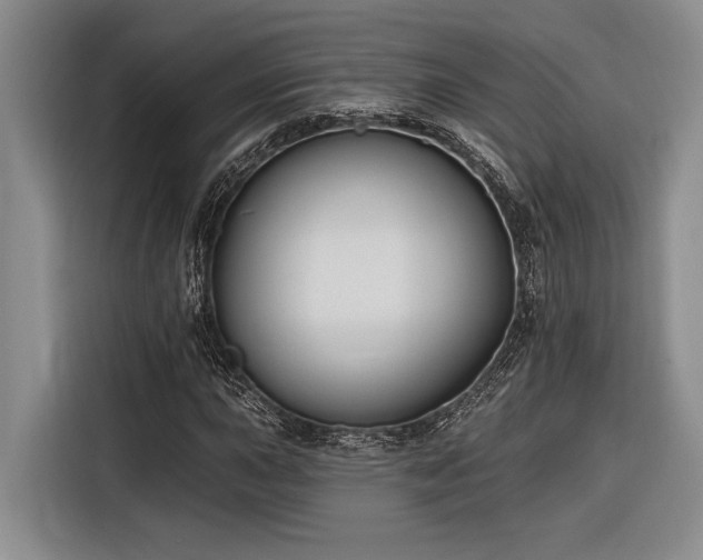 X0000116851015200912221114
