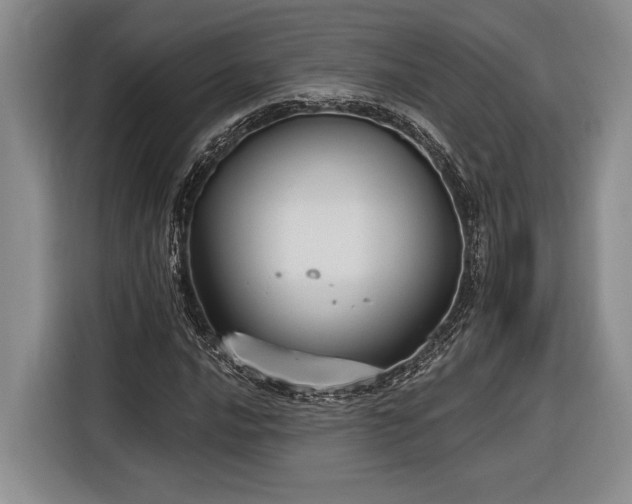 X0000116851016200912221114